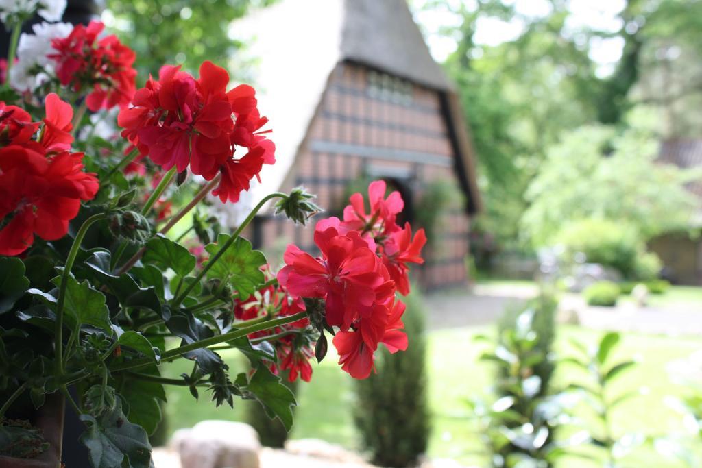 Ostehof Weertzen Vila Exterior foto